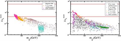 Confronting SUSY GUT With Dark Matter, Sparticle Spectroscopy and Muon (g − 2)